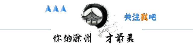 滁州中学2020喜报名单,滁城录取喜报