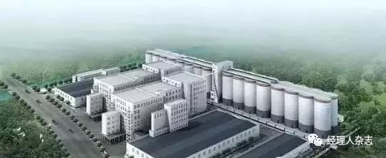 垄断全球粮食的四大粮商,四大粮食巨头与中国较量