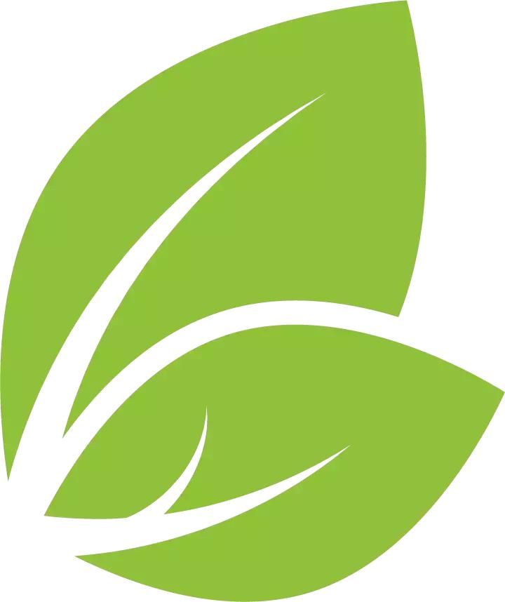 满满蕉叶情！这是麻涌人永远忘不掉的家乡味道