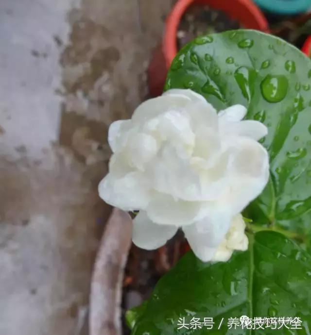 入睡困难也容易醒吃什么助眠药,入睡困难惊醒吃什么助睡眠的药好