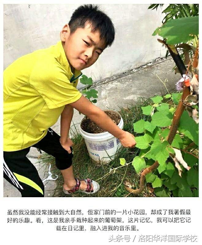 「华洋学子风采录」七彩暑假这样过