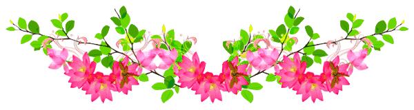 早上好，今天8月8日，百年一遇的发财日，送你8个发，打开就发财