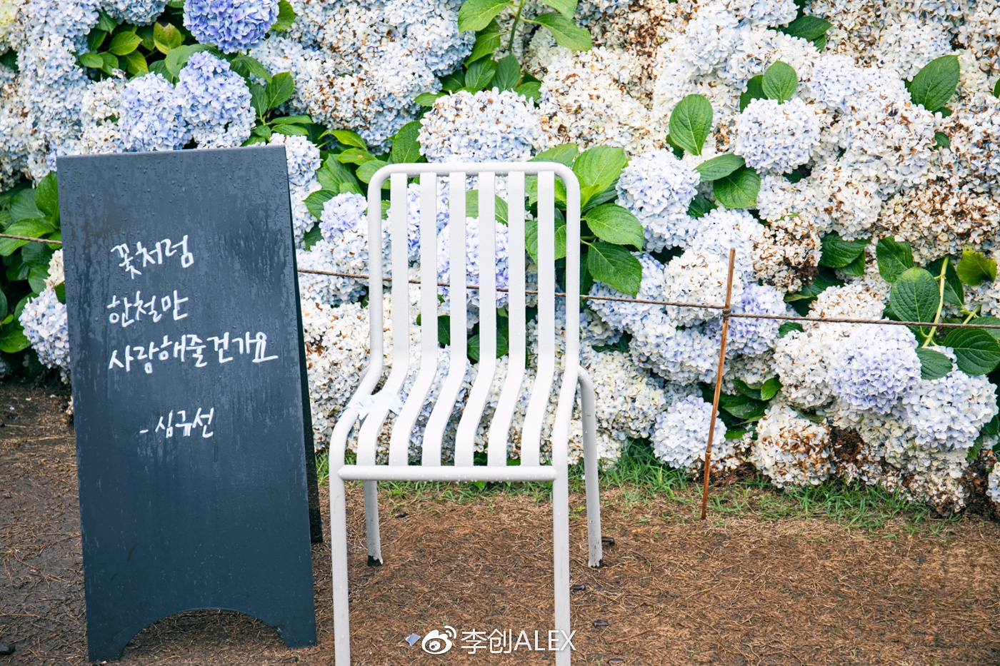 济州岛即将上演的童话世界,去济州岛旅行的感受