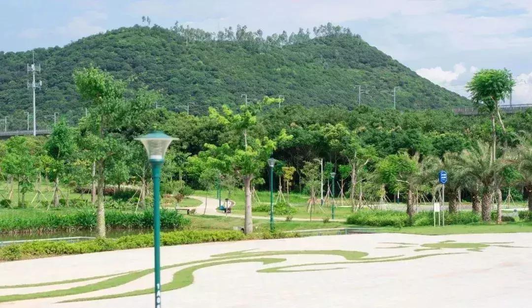 深圳足球公园免费开放,深圳新的草地公园