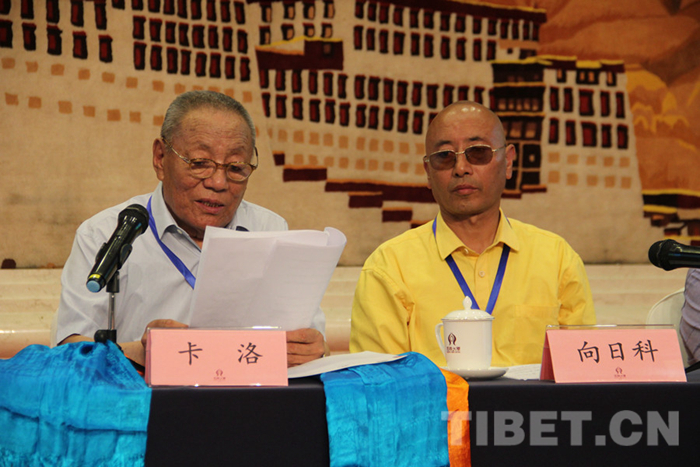 专家谈藏医,西藏自治区藏医研讨会