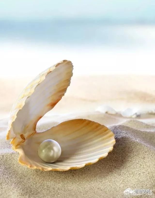 上市公司造假有哪些公司,最奇葩的上市公司事件