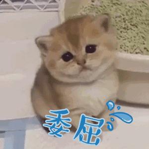 速看！刚刚发布大消息！8月起牙齿矫正、种植牙这10项费用全免！