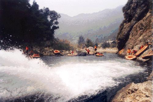 速看！刚刚发布大消息！8月起牙齿矫正、种植牙这10项费用全免！