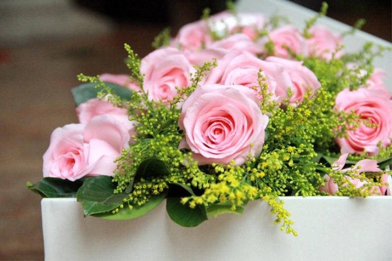 七夕节十一枝玫瑰花语是什么,七夕节玫瑰花图片花语