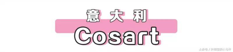 打假网红有哪些,揭露卖假货的网红是谁