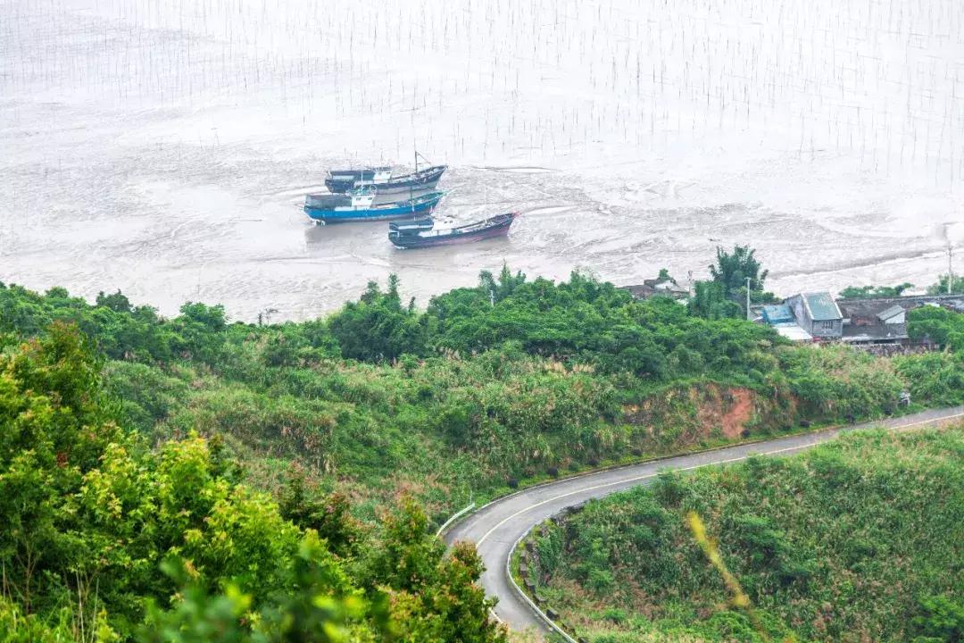 苍南深山,苍南隐秘的地方