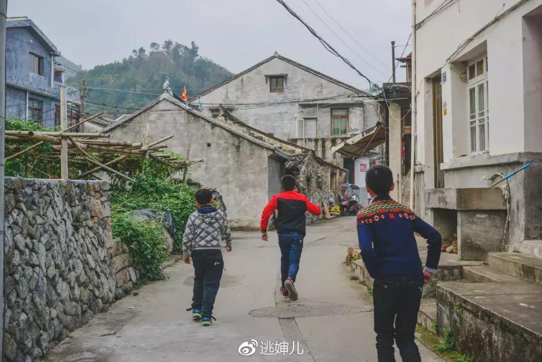 苍南深山,苍南隐秘的地方