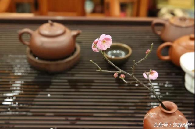 茶叶冷泡和热泡法的区别,茶叶干泡和湿泡有区别吗图片