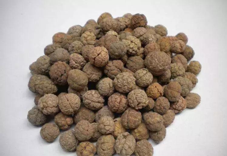 香叶能去除香辛料异味吗,哪些香料能激发食材的原有香味