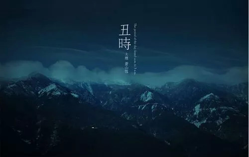 云南奇葩,云南奇葩视频
