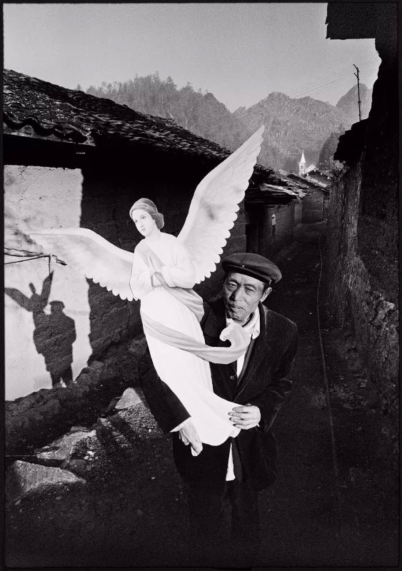 云南奇葩,云南奇葩视频