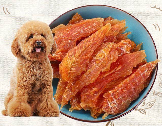 泰迪老是喜欢舔主人手是怎么回事,泰迪狗狗舔主人脖子意味着什么