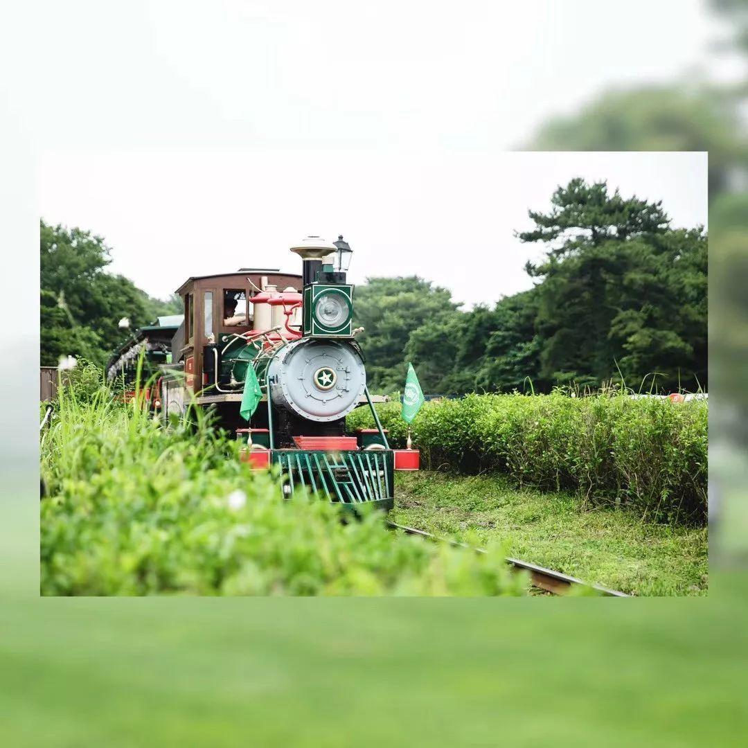 济州岛游玩攻略穷游,济州岛旅行避坑攻略最新