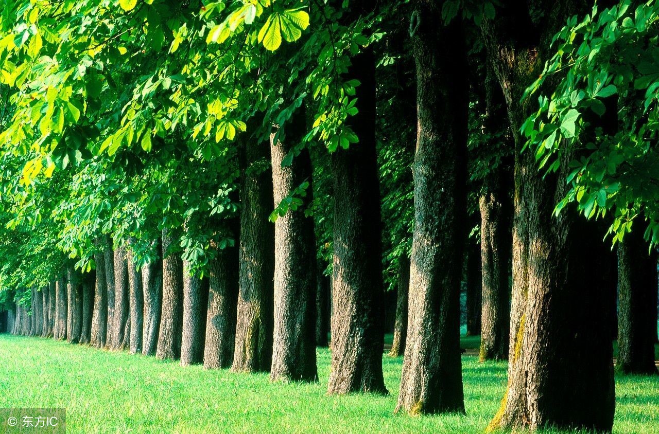 脸皮厚怎么快速解决,脸皮薄怎么办教你一招解决