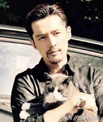 胡歌带五只猫拍戏,胡歌和吴镇宇