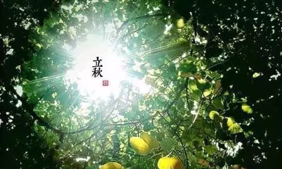 有哪些关于立秋的小知识,今日立秋有啥说道吗