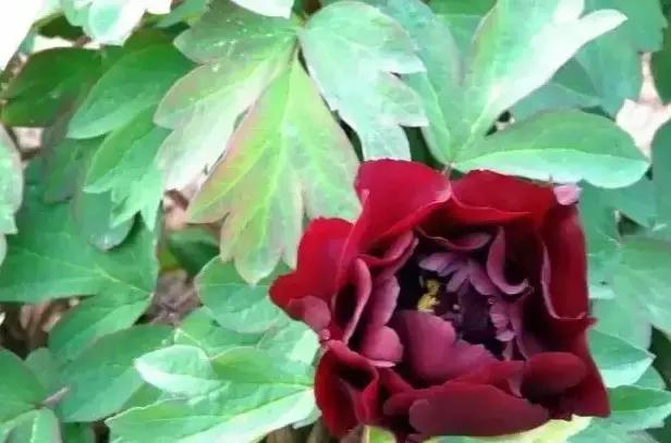 8.8发财日的祝福,8月18日发财日早安祝福图片