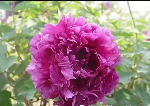 8.8发财日的祝福,8月18日发财日早安祝福图片