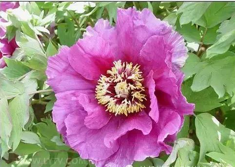 8.8发财日的祝福,8月18日发财日早安祝福图片