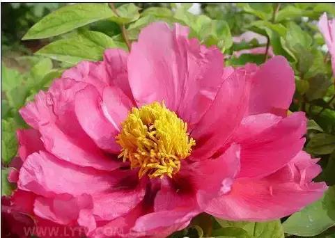 8.8发财日的祝福,8月18日发财日早安祝福图片