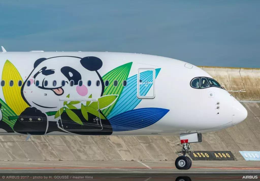 川航客机奇迹归来,川航第一架宽体客机