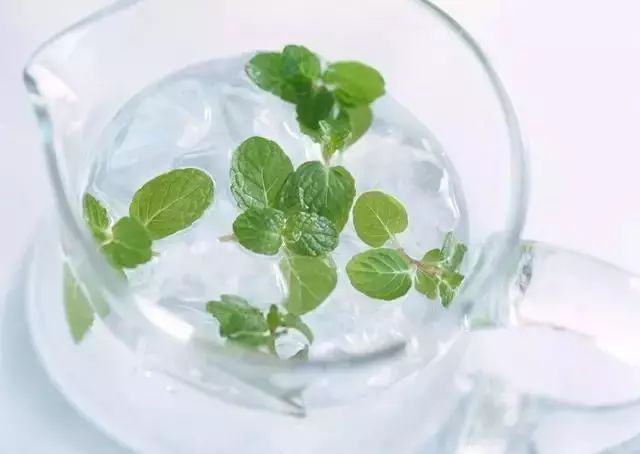 涨知识养花,涨知识养花不想长虫