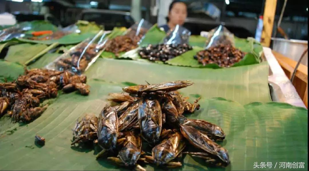 把蚂蚁蟋蟀等昆虫做成食品，是中国食品行业的新潮，还是……