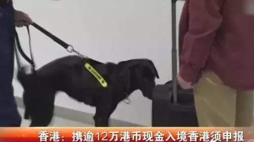 香港代购政策,香港代购政策最新