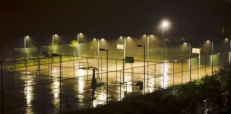 成都155个公共体育场馆免费,成都体育场有序开放