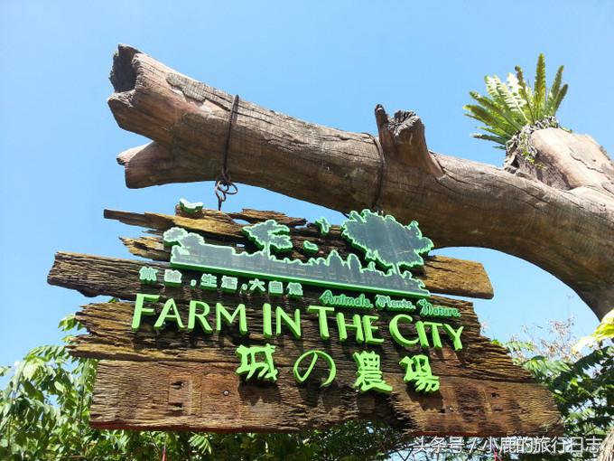 马来西亚天空之镜攻略,马来西亚天空之镜雪兰莪玩法攻略