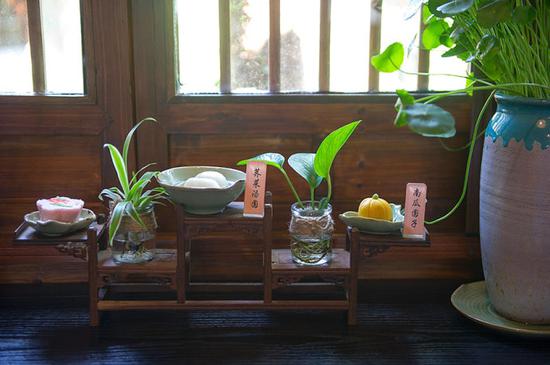 带孩子乌镇乌村游玩攻略,乌镇乡村旅游景点有哪些