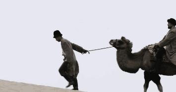 说到绝美我总想到她的处女作（转自毒sir公众号）