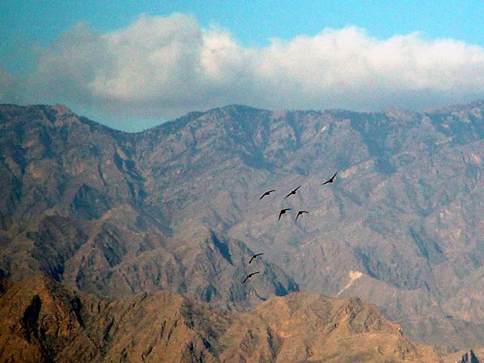 银川西夏区有什么,银川市西夏区最新变化