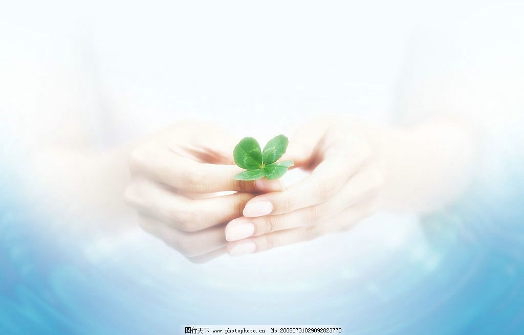 胃炎怎么调理养胃最有效,胃炎可以喝什么茶养胃