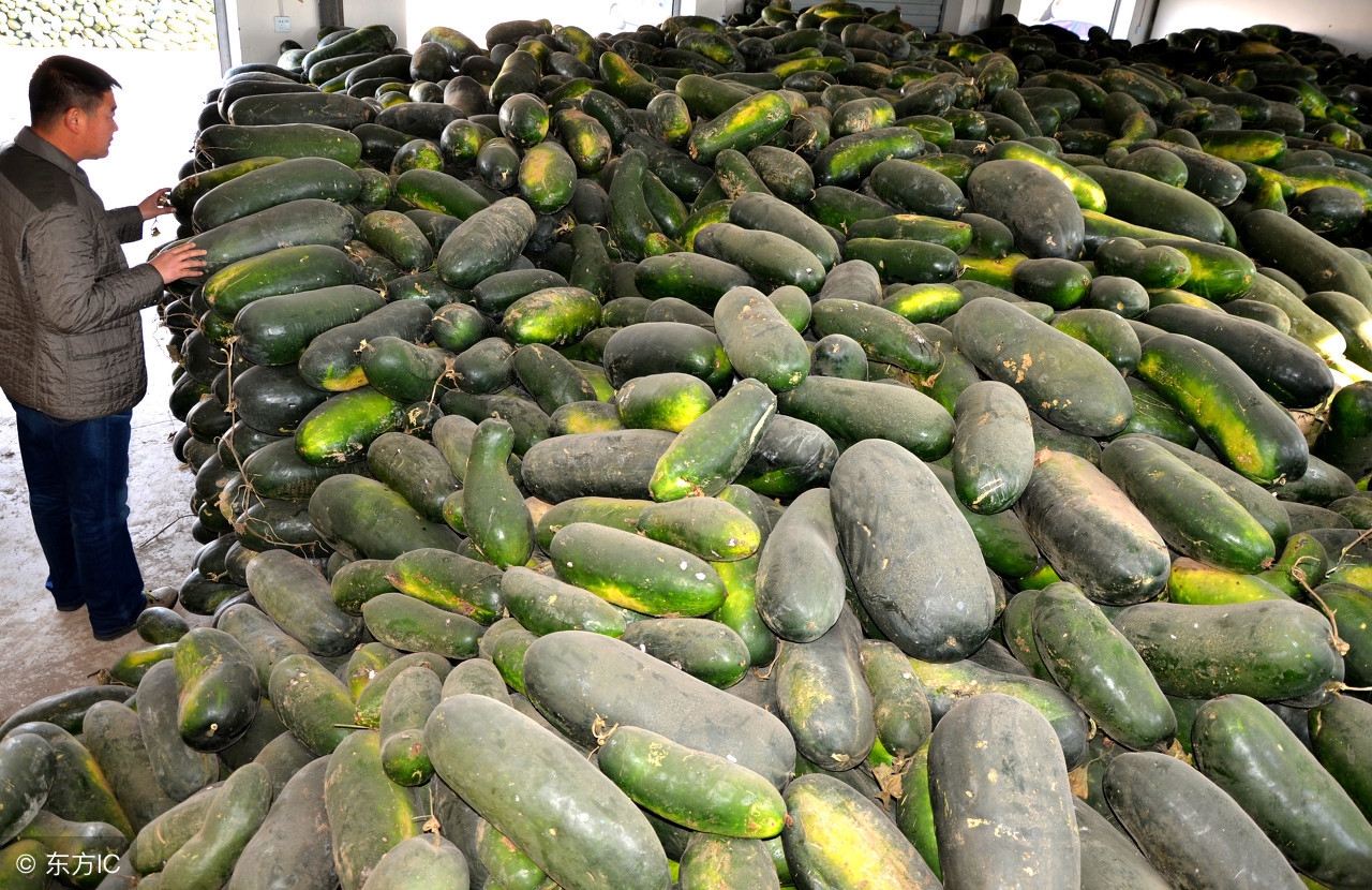 农产品互联网发展趋势,互联网农业行业市场策略