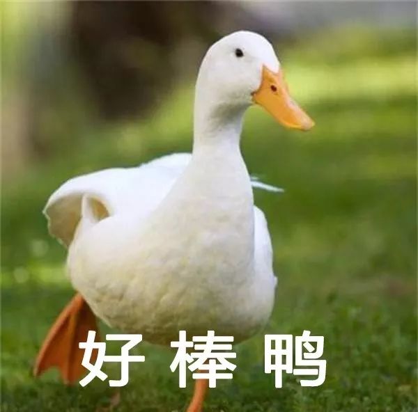 空调该怎么用最省电,空调怎么使用省电又实用