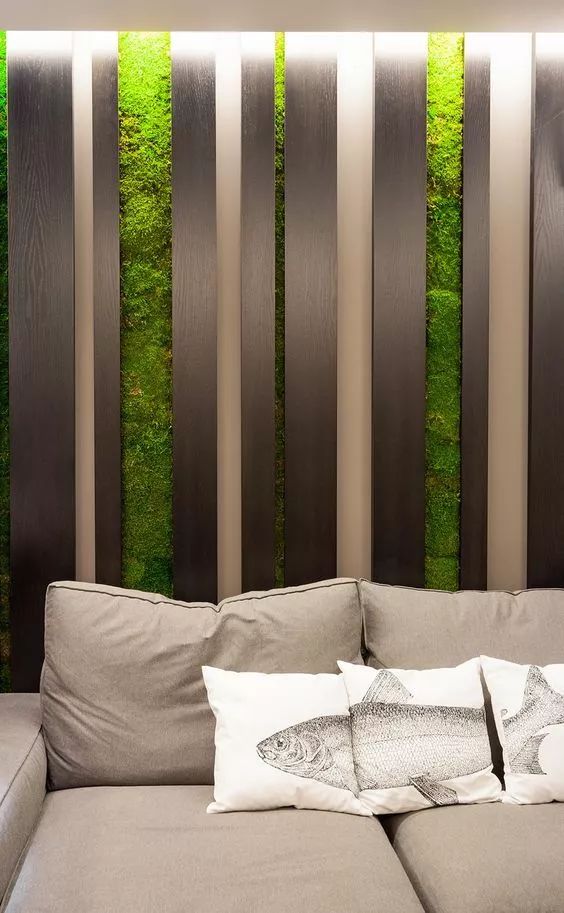 可以挂墙的绿植,适合做墙的绿植