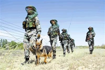 所谓的超声波物理驱蚊器有用吗,激光炮怎么驱蚊最有效