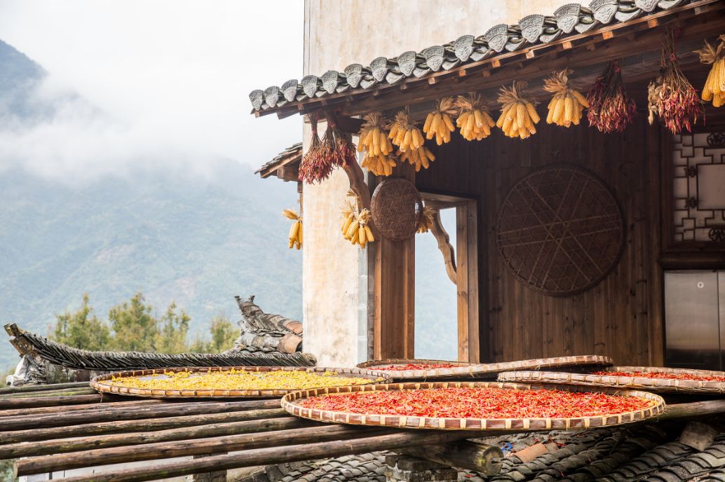 秋天的婺源什么时候去最美,秋天的婺源是色彩的天堂