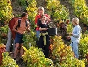 留学生适合的兼职,适合留学生的工作