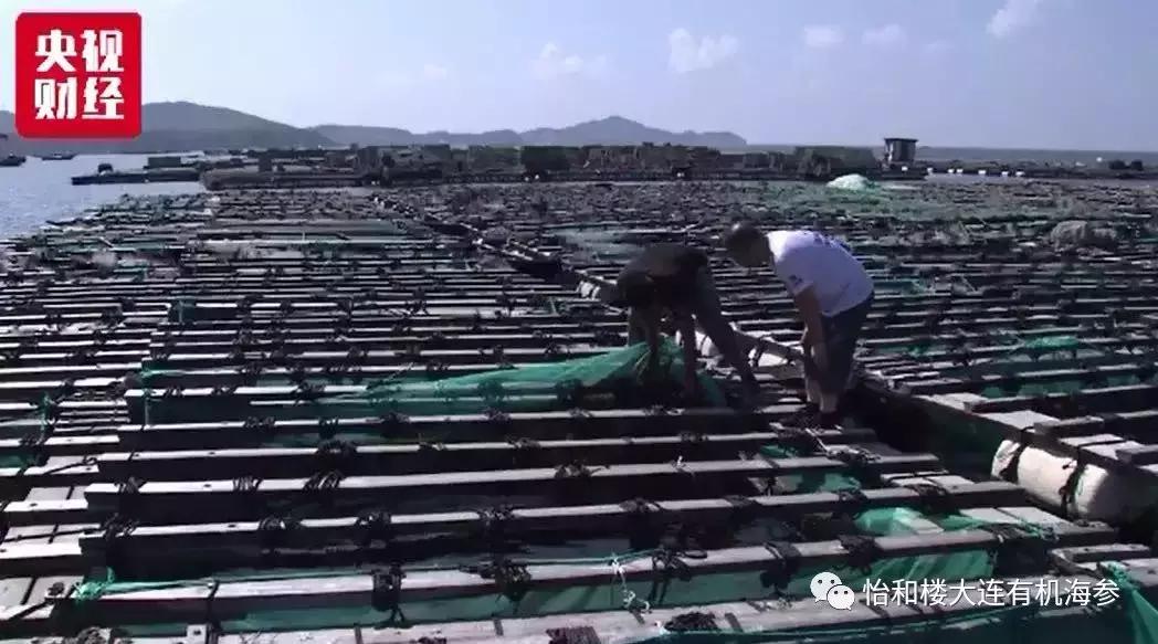 来自一个赌徒的自白,来自一个财税人的自白