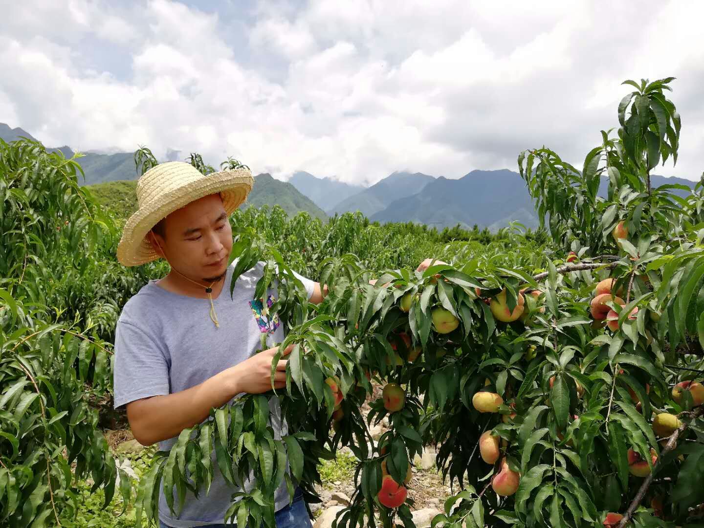 农业永远是最实在的行业,农业不是想象中的那么简单