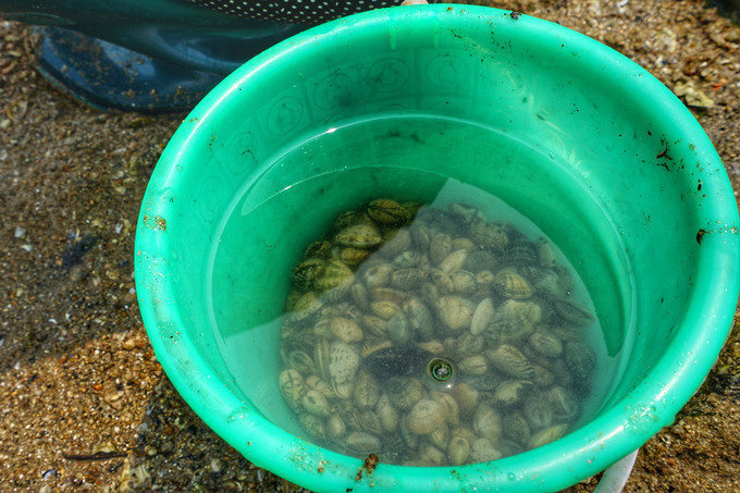 日照,日照有什么好玩的地方