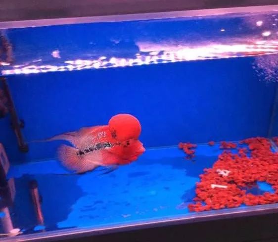 冲动购物一时爽,冲动购物的感悟