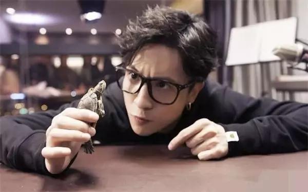 中国网红第一人是谁2019,中国第一网红最新名单